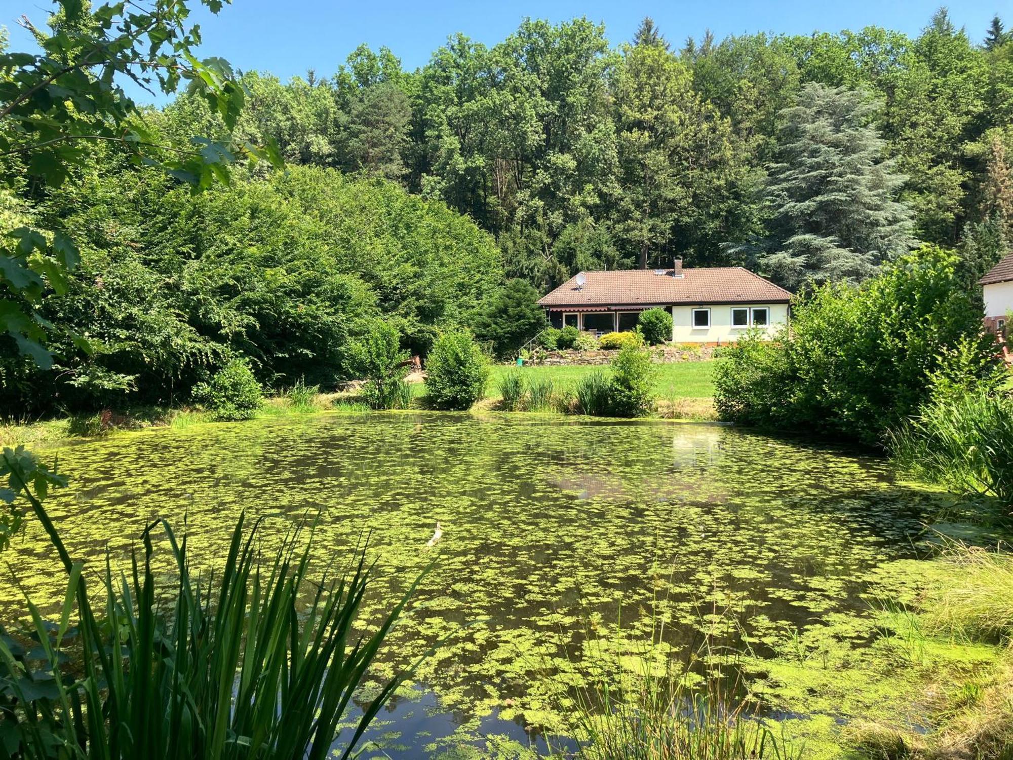 Ferienhaus Drei Muehlen Vila Bad König Exterior foto